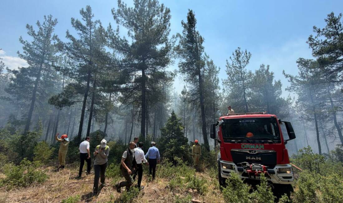 Orhaneli Belediye Başkanı Ali Osman Tayır, bölgede çıkan ve kontrol