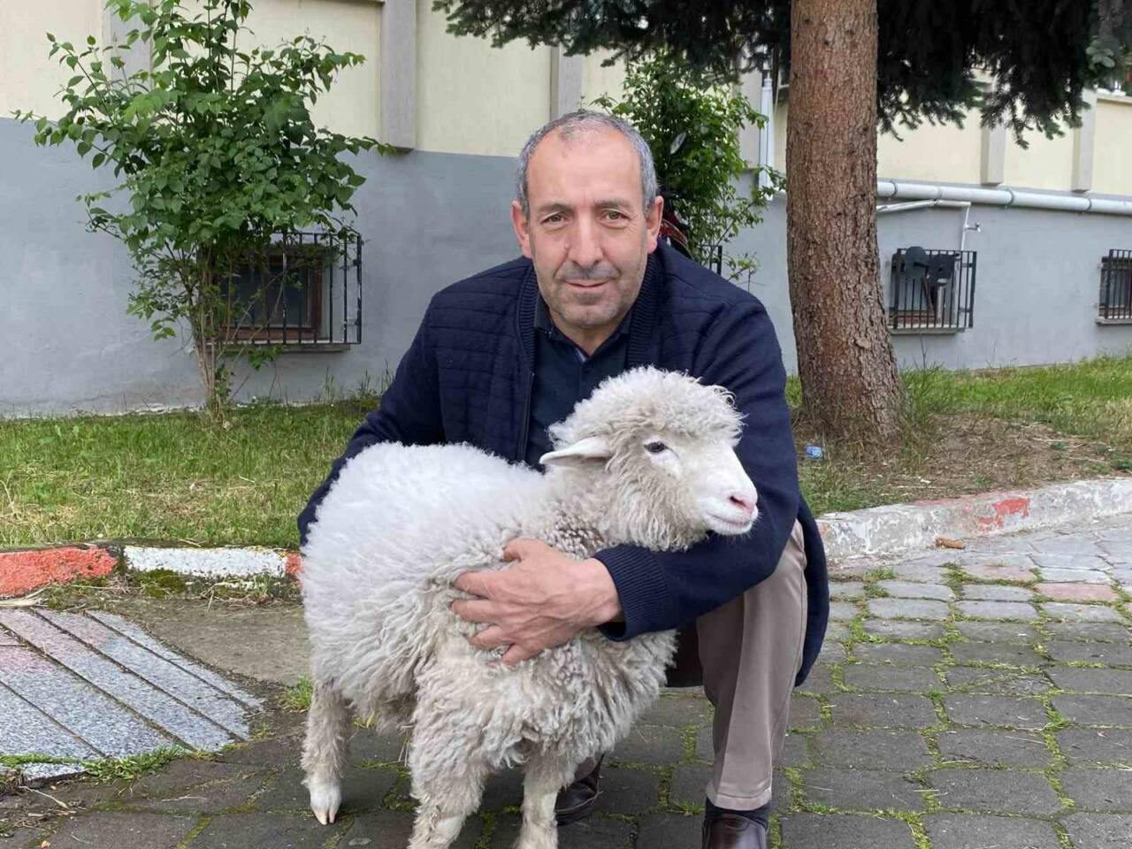adliyenin sevimli maskotu kuzu tertip 48ec5c4e14e3