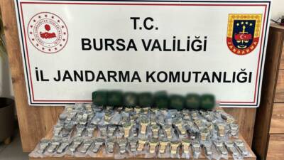 Bursa'nın İnegöl ilçesinde jandarma ekiplerince düzenlenen operasyonda piyasa değeri yaklaşık