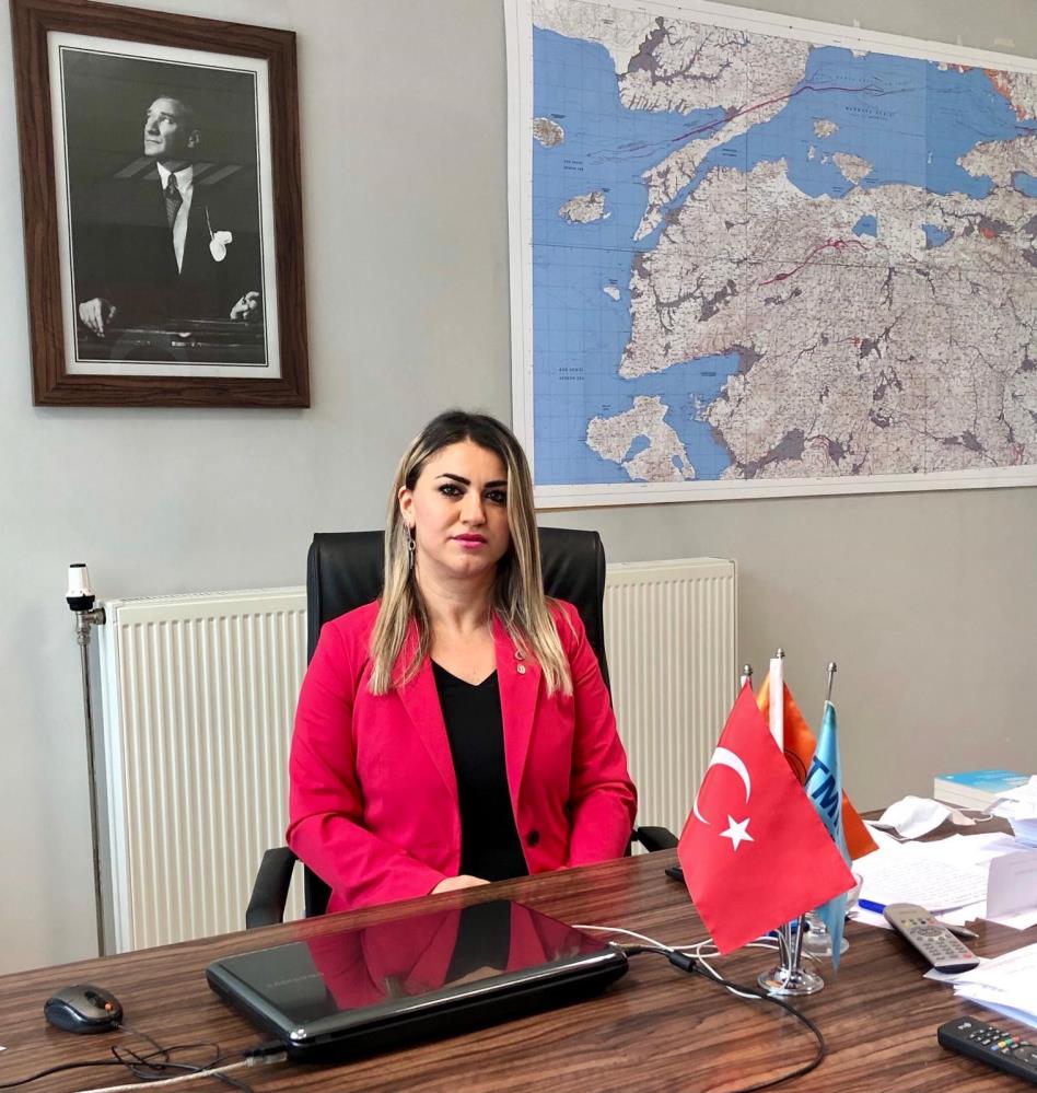 Yeni keşfedilen faylara uzman bakışı 1 aw73188101