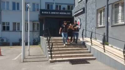 Bursa'da 29 suç kaydı bulunan firari, polisleri görünce kayısı ağacının