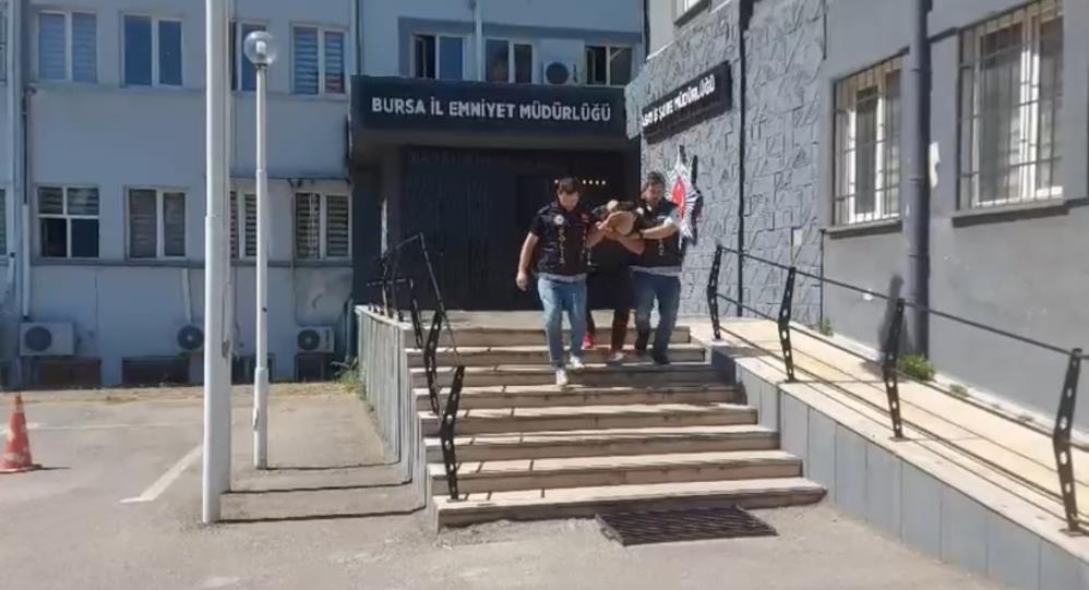 Bursa'da 29 suç kaydı bulunan firari, polisleri görünce kayısı ağacının