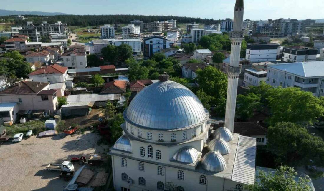 Bursa’da caminin kubbesine yuva yapan leyleklerden anne leyleğin yavrularını güneşten