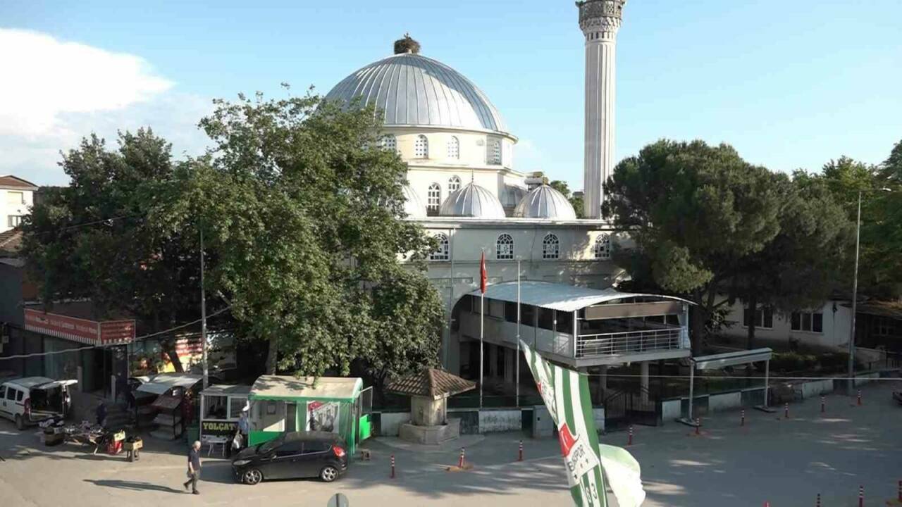 bursada anne leylekten yurek isitan koruma 7deeab20deef