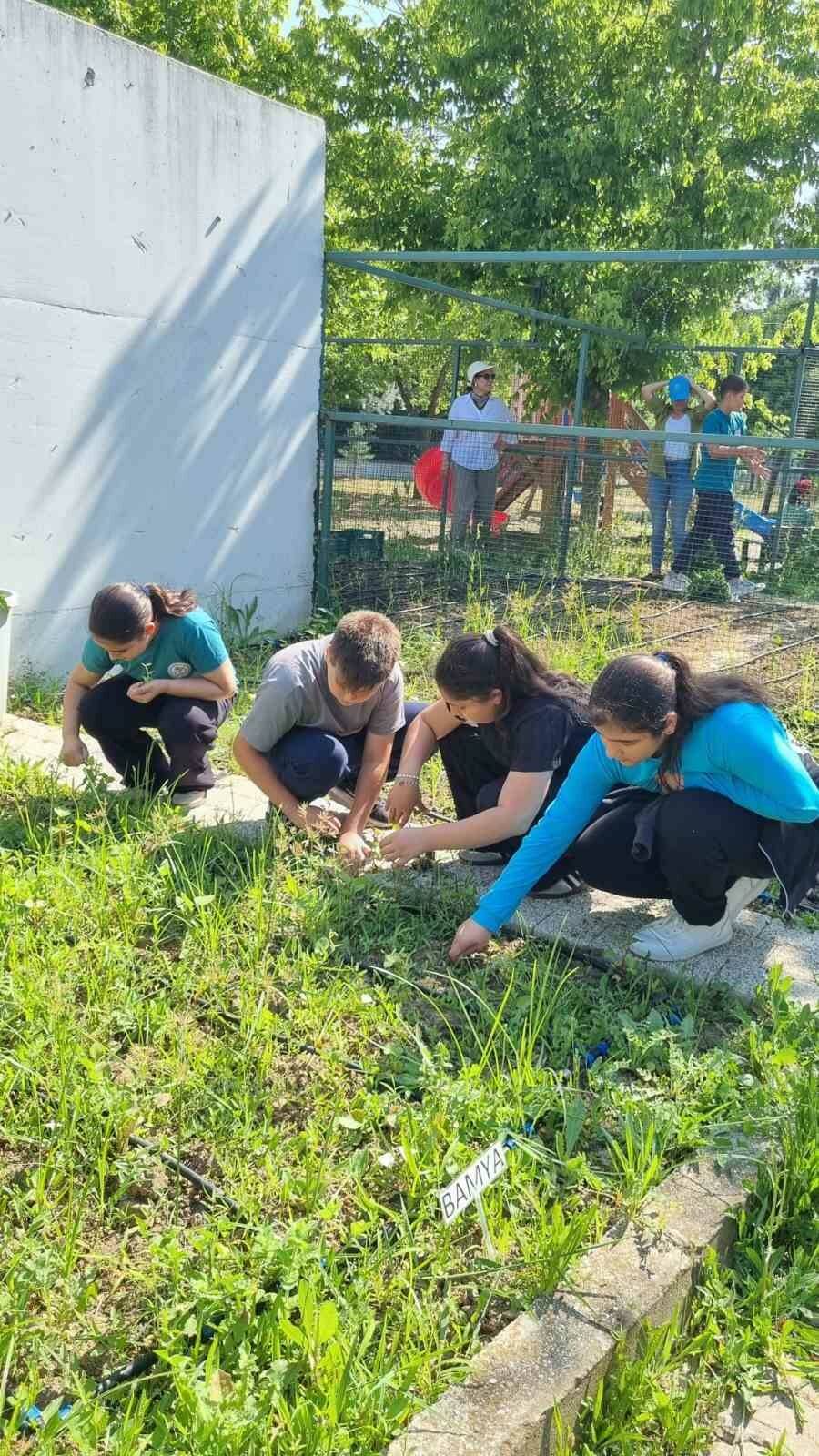 Bursa'da bu okuldaki öğrenciler kendi bitkilerini yetiştirecek 2 bursada bu okuldaki ogrenciler kendi bitkilerini yetistirecek e5a559befdc0