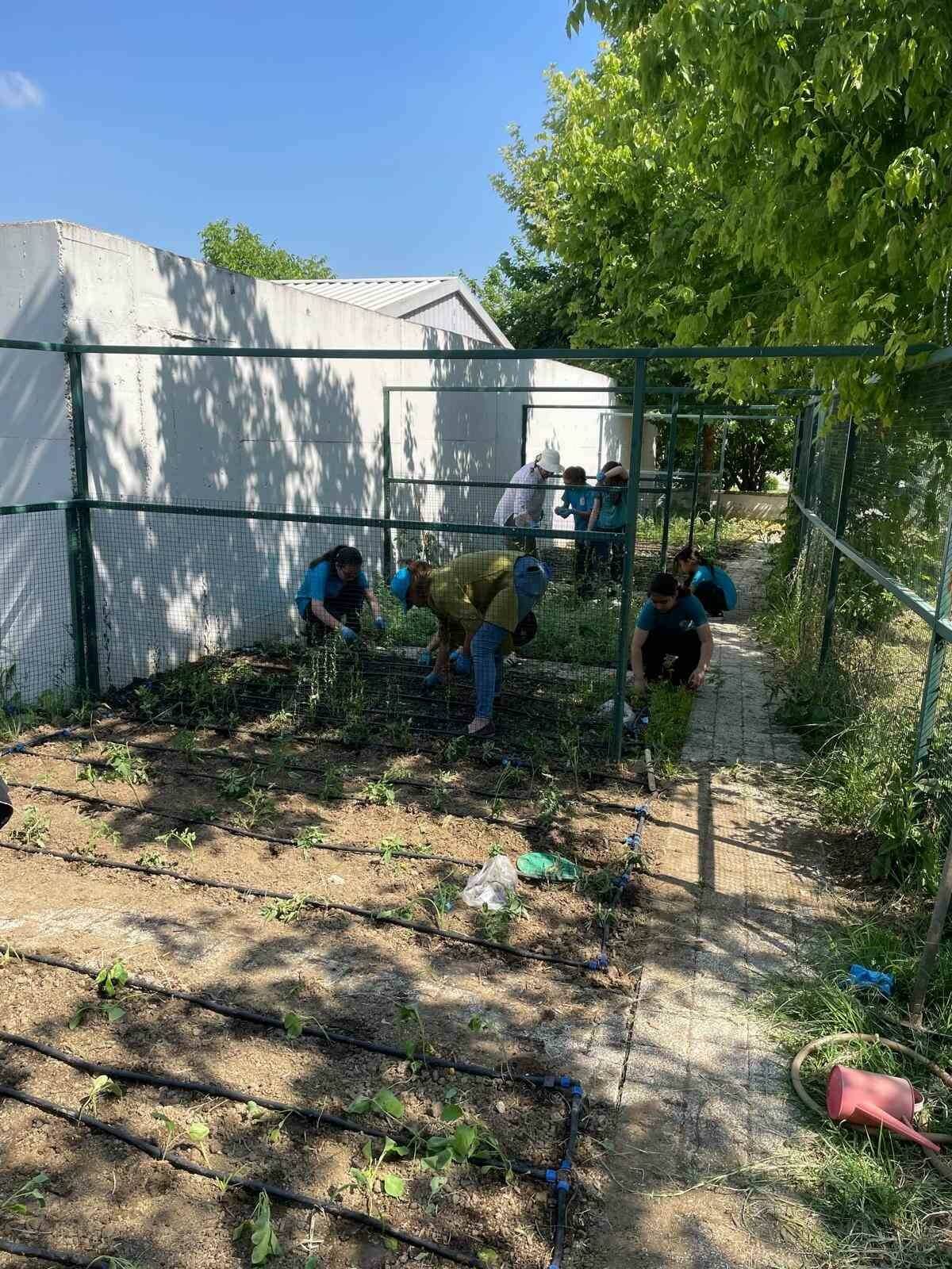 Bursa'da bu okuldaki öğrenciler kendi bitkilerini yetiştirecek 3 bursada bu okuldaki ogrenciler kendi bitkilerini yetistirecek e64a2b936711