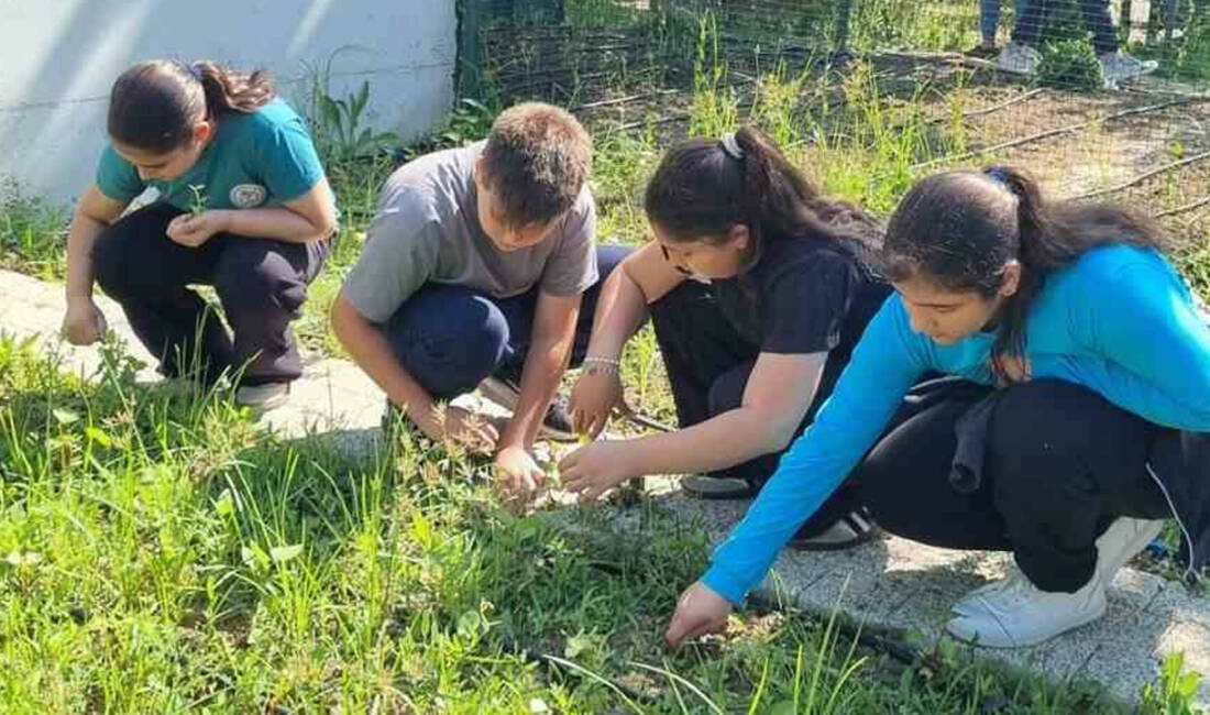 Bursa’da bu okuldaki öğrenciler kendi bitkilerini yetiştirecek Nilüfer Belediyesi, Işıktepe Mahallesi’ndeki Rüveyde Dörtçelik İlkokulu’nun bahçesinde öğrencilerle birlikte