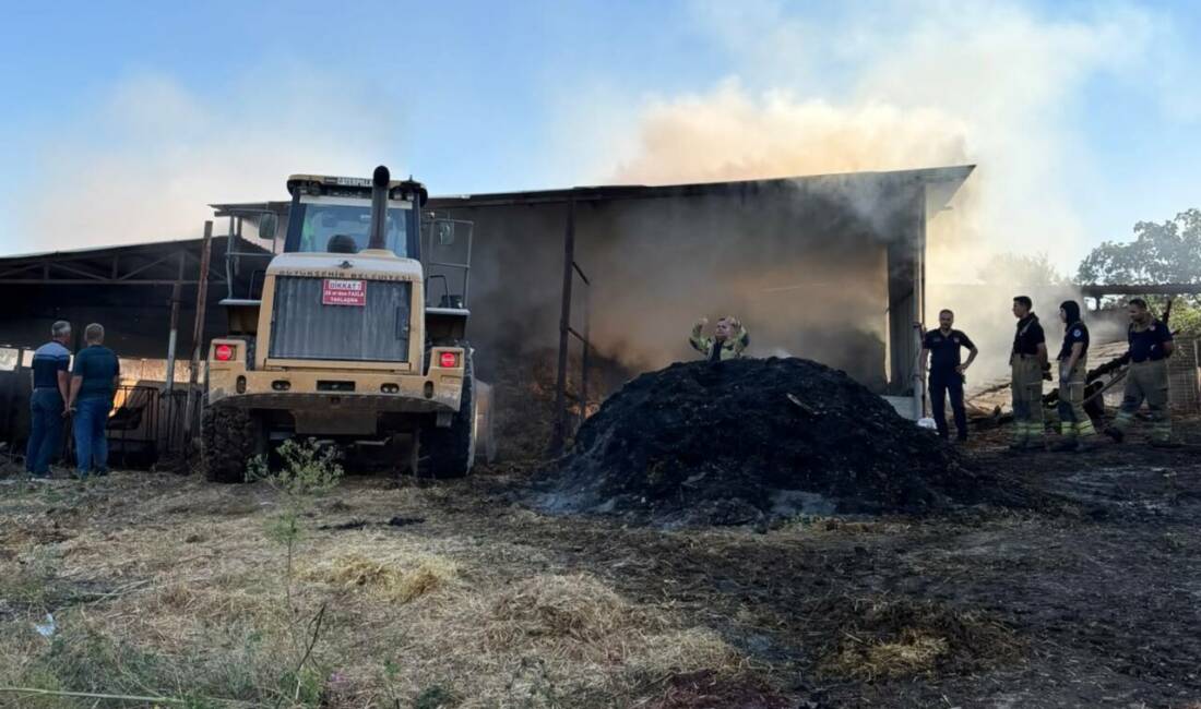 Bursa’nın Karacabey ilçesinde bir çiftlikte çıkan yangında 4 büyükbaş hayvan