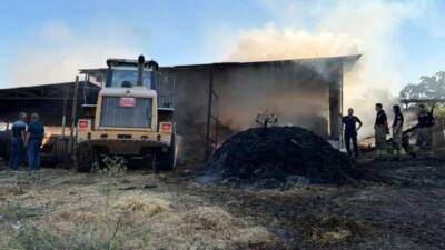 Bursa’nın Karacabey ilçesinde bir çiftlikte çıkan yangında 4 büyükbaş hayvan