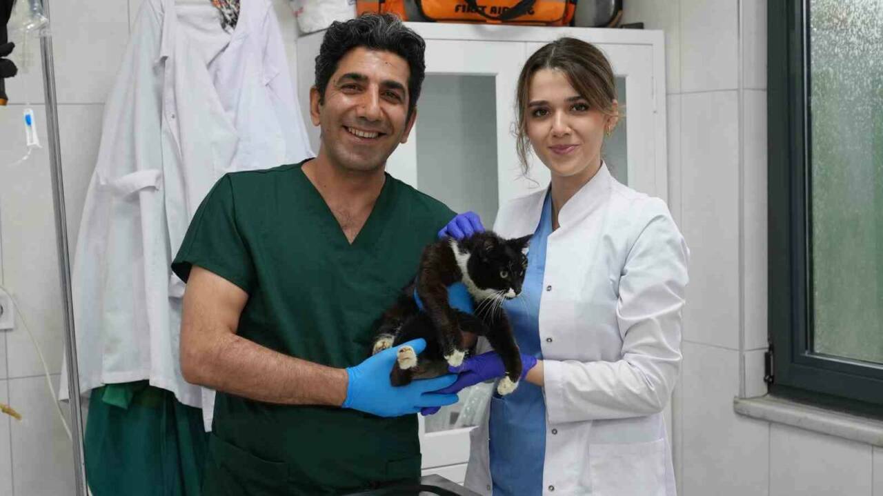 bursada can dostlara umut yuvasi 2eb0b26f6d45
