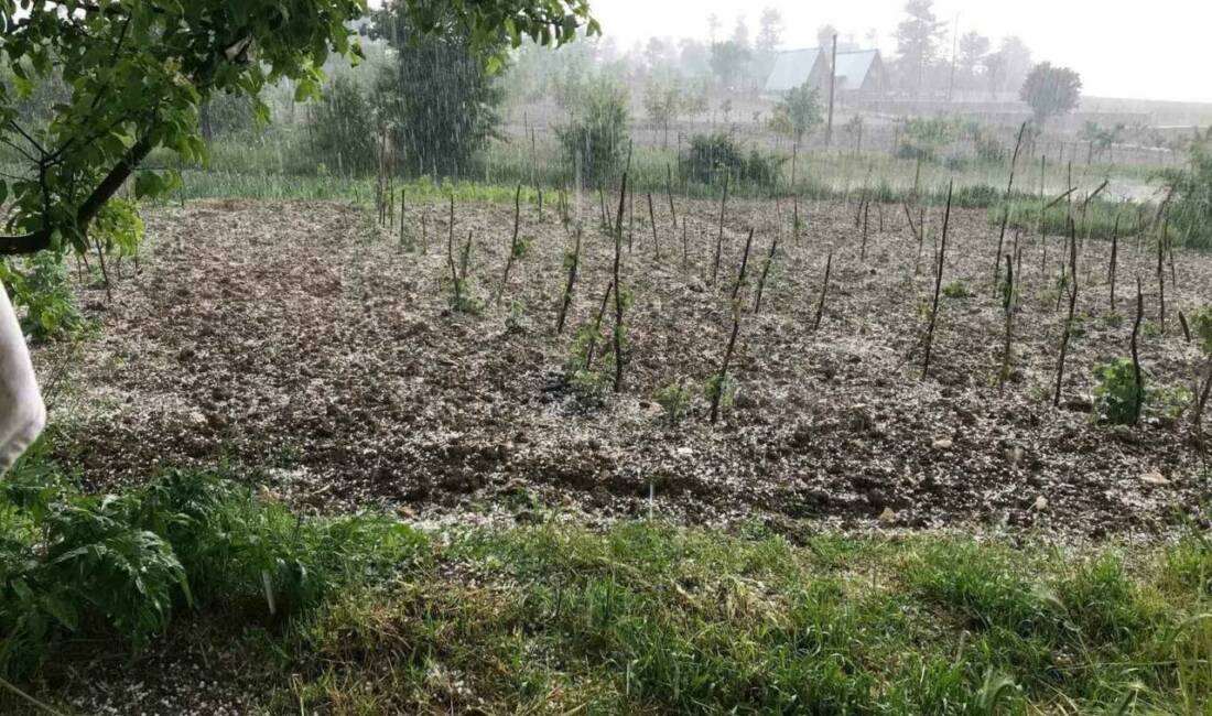 Bursa’nın Keles ilçesinde etkili olan dolu yağışı, tarım arazilerinde zarara