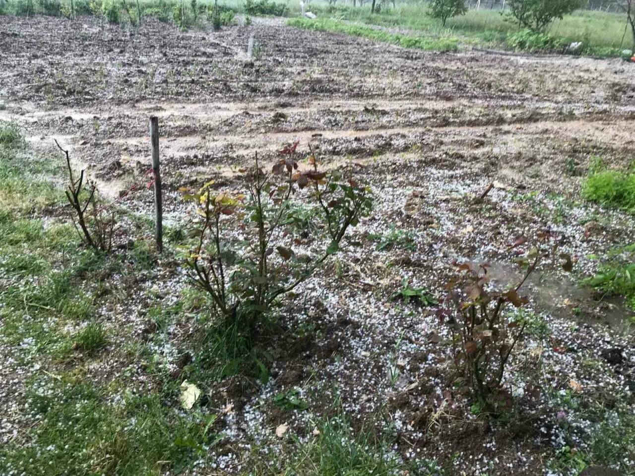 bursada ciftciye kotu haber dolu tarim arazilerini vurdu 0670fa3a2765