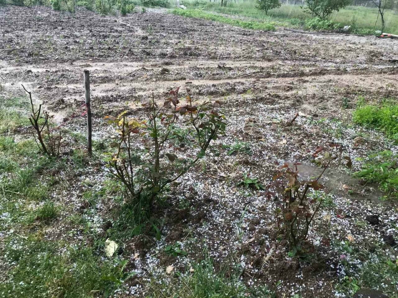bursada ciftciye kotu haber dolu tarim arazilerini vurdu 1abc73c986fa