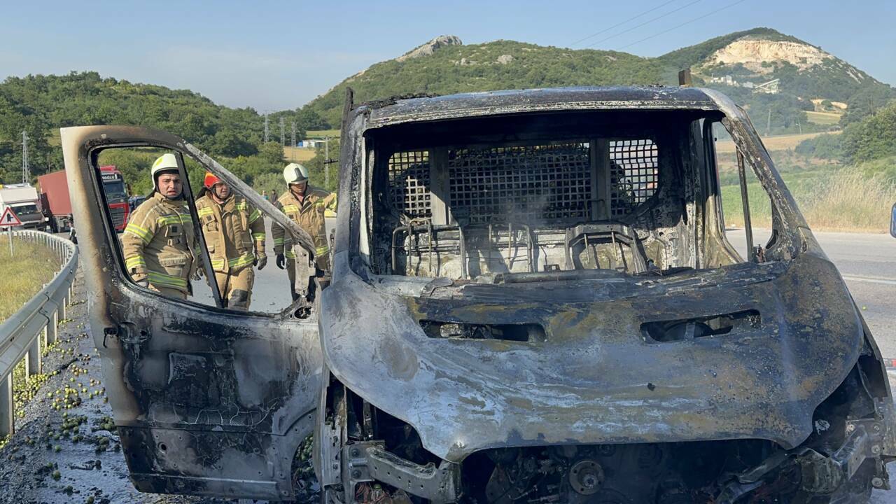 Bursa'da erik yüklü kamyonet yandı 3 bursada erik yuklu kamyonet yandi 067775a9aa43