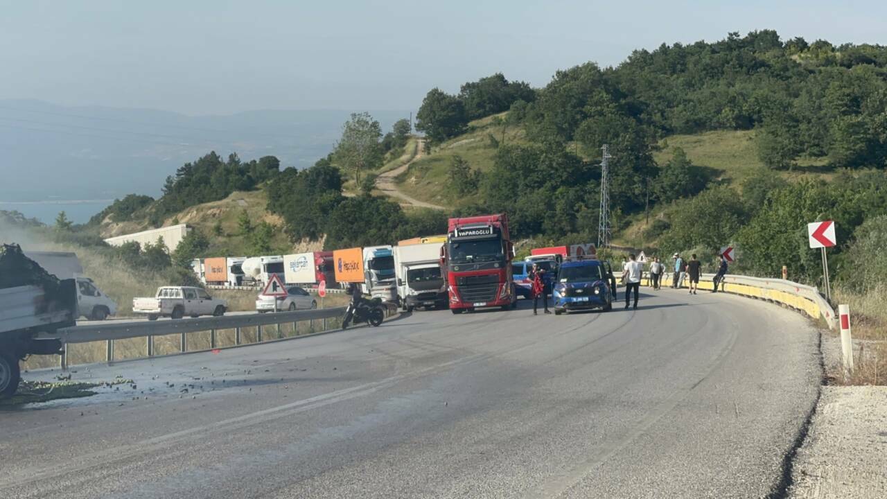 Bursa'da erik yüklü kamyonet yandı 2 bursada erik yuklu kamyonet yandi ffc9220786b3