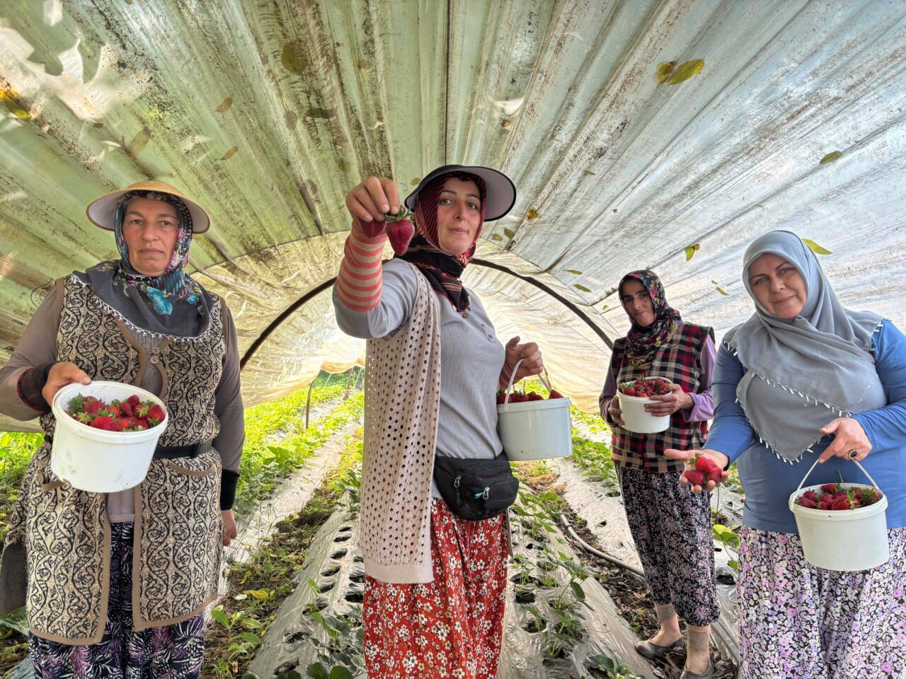 bursada hasadi baslayan cilek tarlada 170 tlden alici buluyor 934d7895c2d3