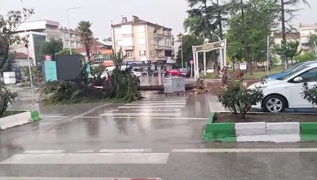 Bursa'nın Yenişehir ilçesinde aniden bastıran dolu ve sağanak ile kuvvetli