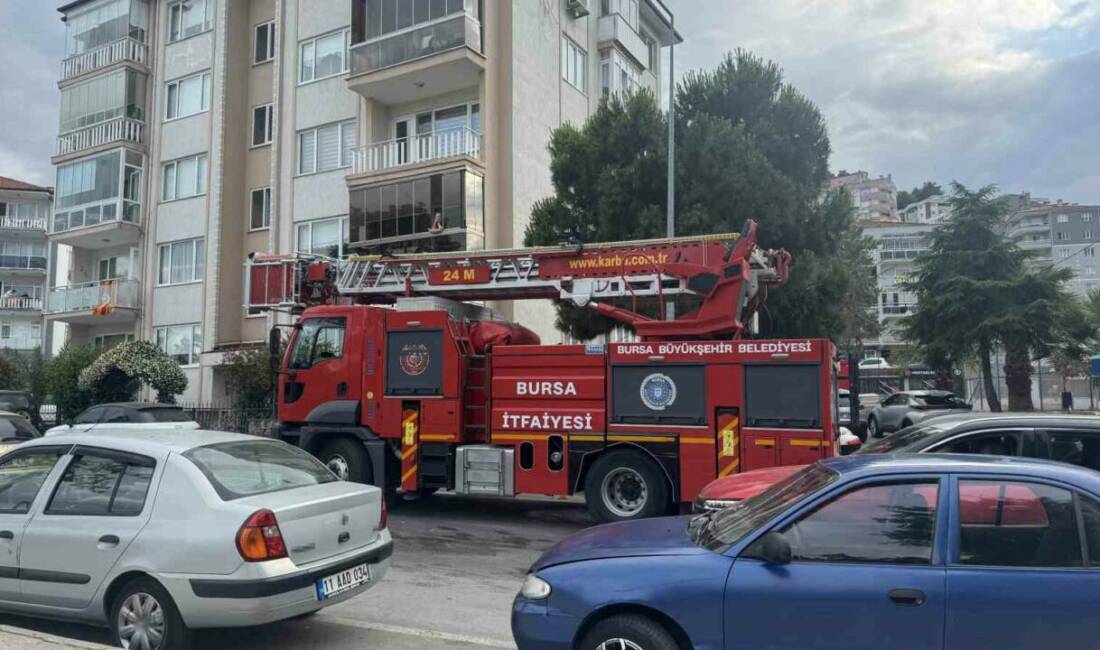 Bursa’da itfaiyenin zor anları! Karga kurtarılırken… Bursa’nın Mudanya ilçesi Ömerbey Mahallesi Muhtarlığı önünde bir ağaca takılan