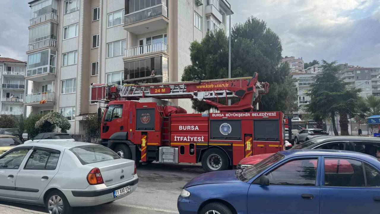 bursada itfaiyenin zor anlari karga kurtarilirken 7f088eef0be4