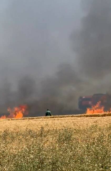 Bursa’nın Karacabey ilçesine bağlı Kirmikir köyü yolu üzerindeki buğday tarlaları,