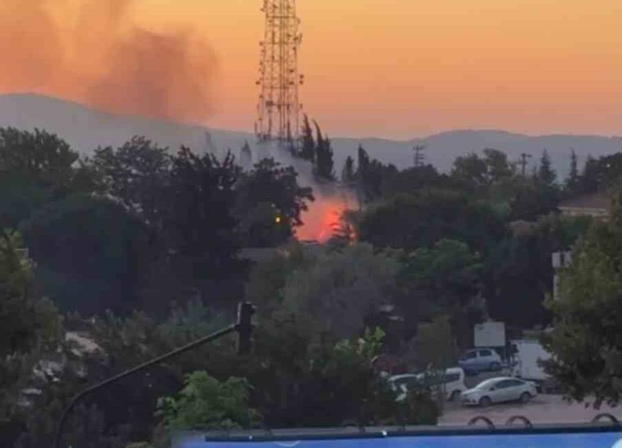 Bursa’da düzenlenen Kültür Yolu Festivali’nin hemen yanında bulunan ağaçlık alanda