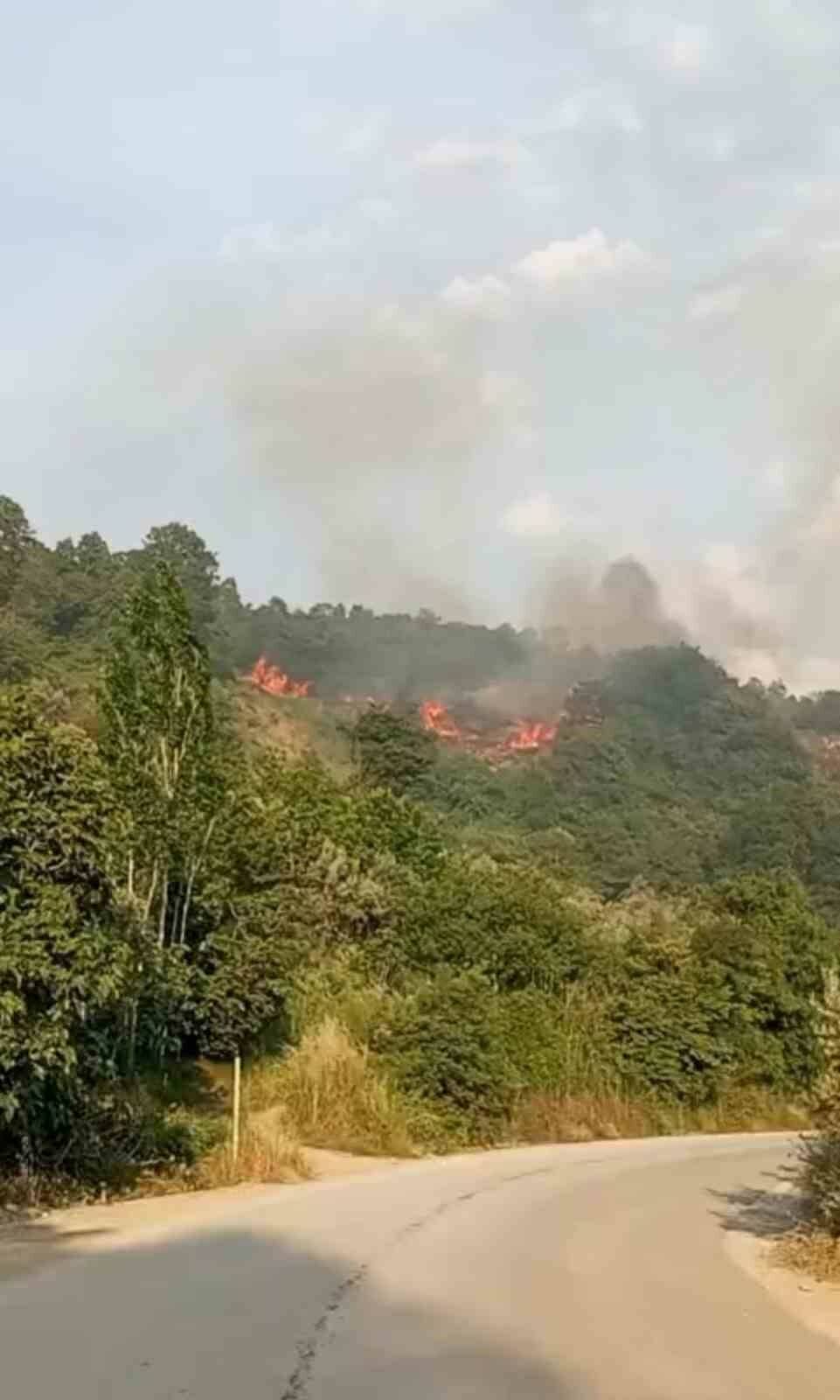bursada makilik alanda yangin e9602d882ee3