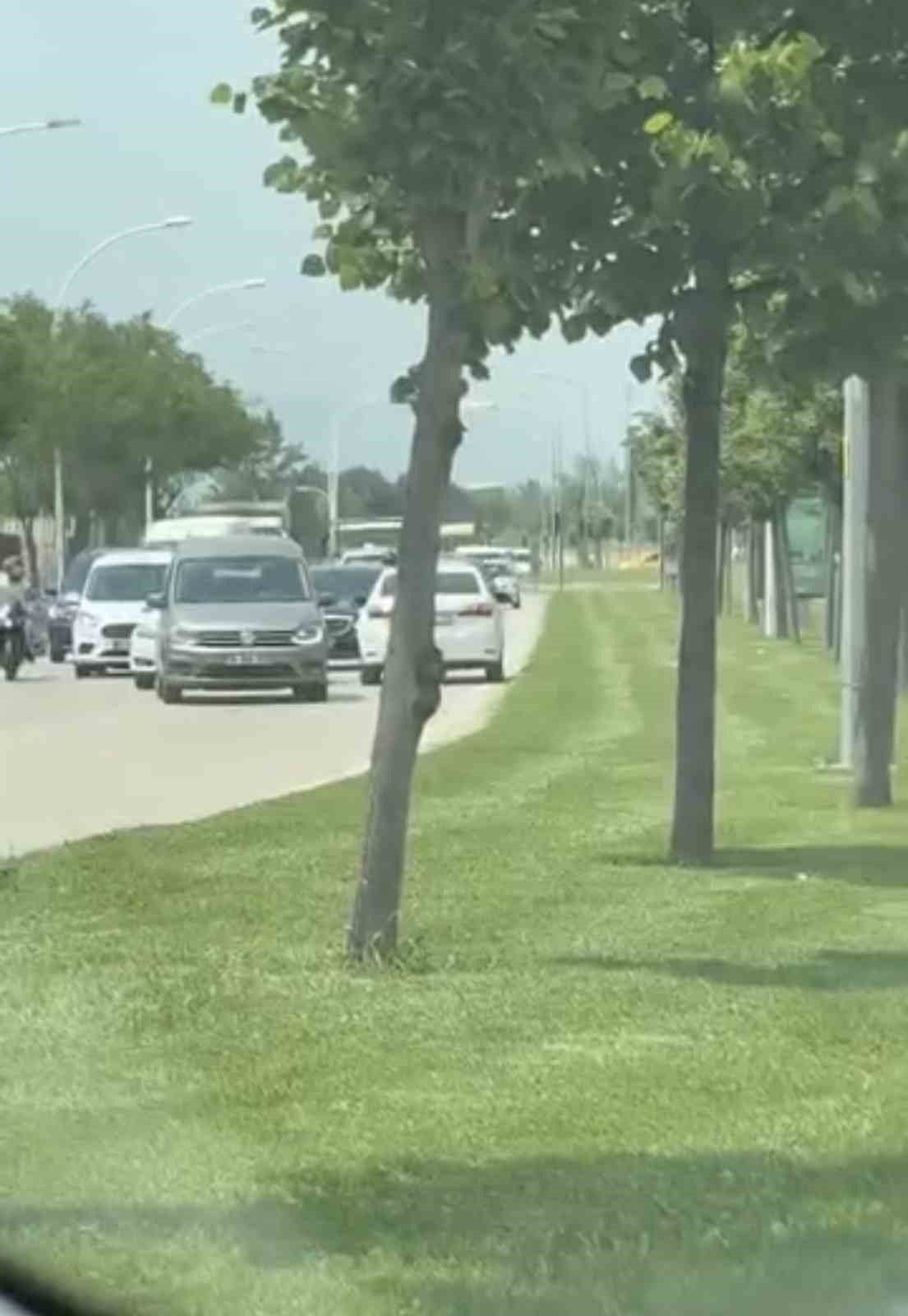 Bursa’da tersten ilerleyen bir otomobil sürücüsü, hem kendi canını hem