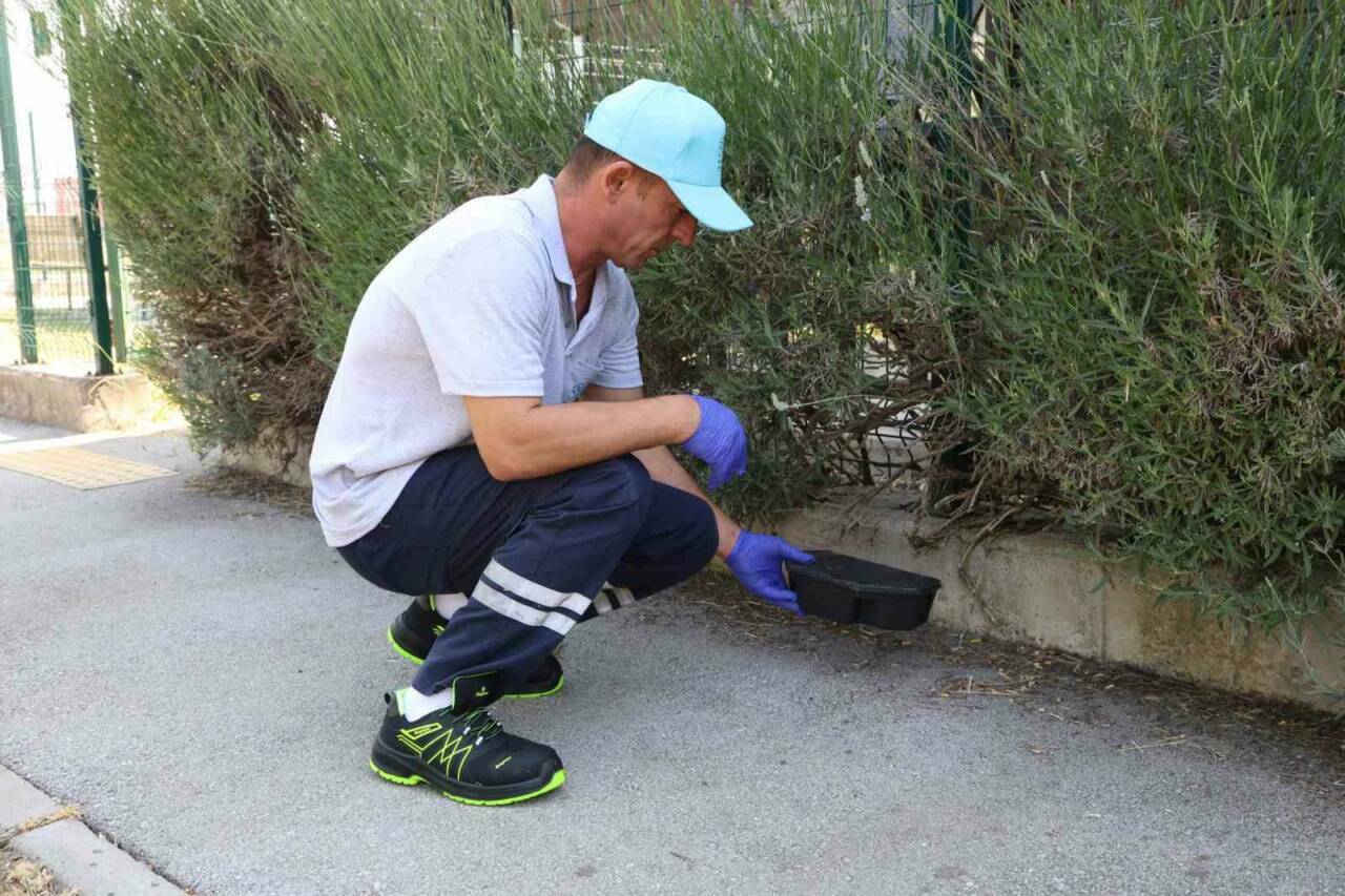 bursada yaz cilesi sineklerle yogun mucadele ce2dbea051e3