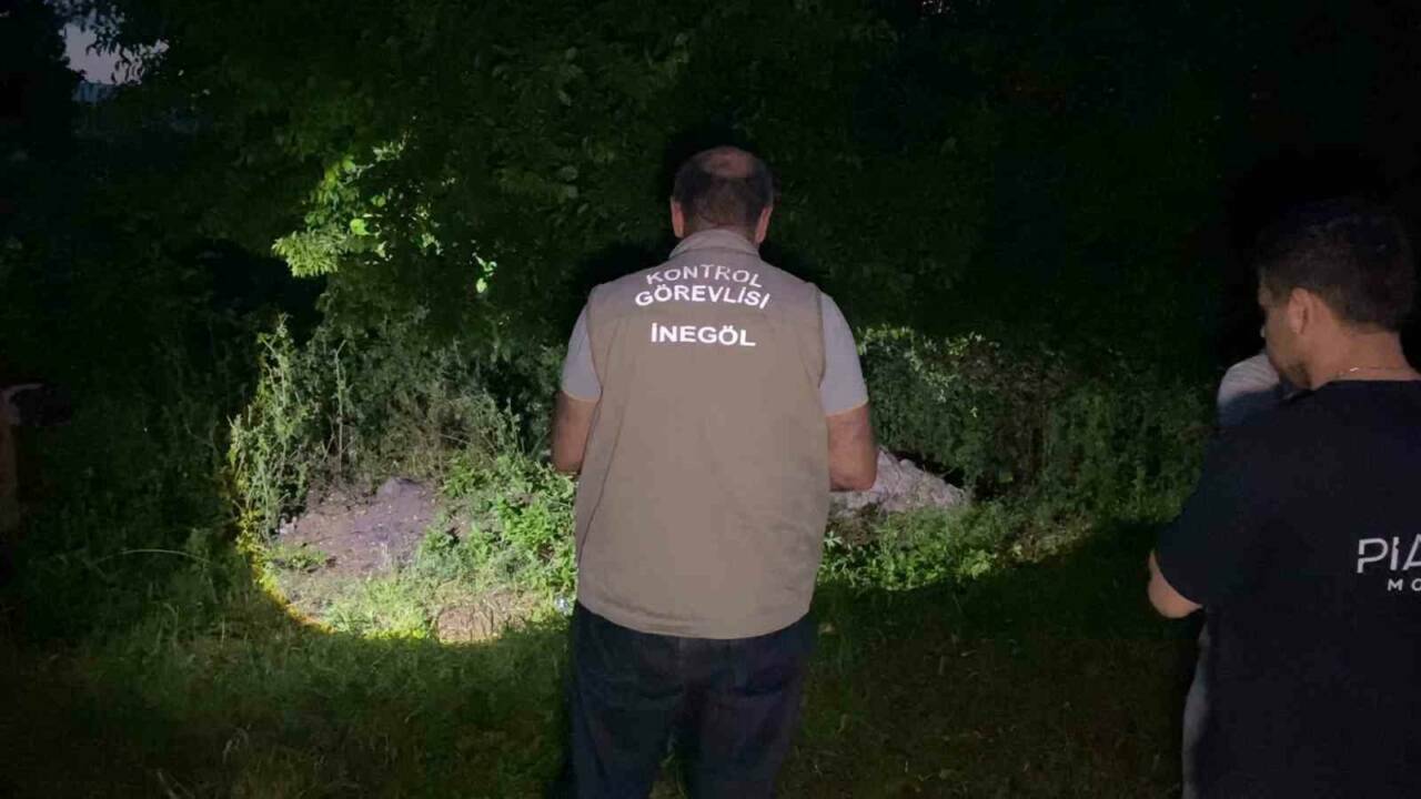 bursada yildirim dustu 6 kucukbas hayvan telef oldu f873adff818d