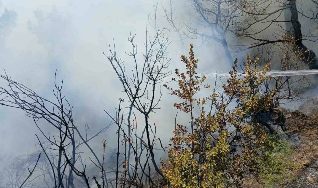 Bursa’da yürekler ağza geldi Bursa’nın Gemlik ilçesinde piknik alanı yakınlarında çıkan yangın, ekiplerin zamanında