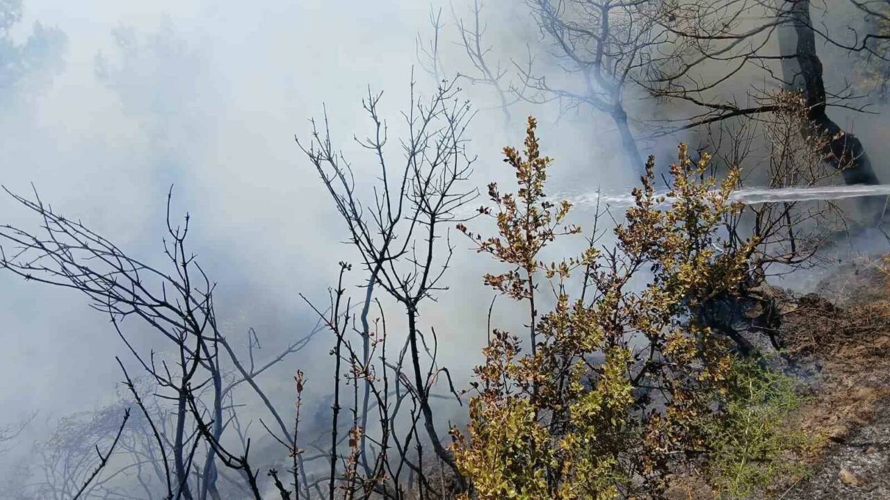 Bursa’da yürekler ağza geldi 1 bursada yurekler agza geldi 6ac8061feb0d