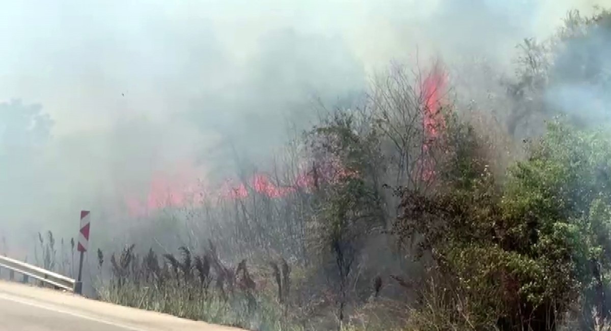 bursada yurekleri agza getiren yangin 3167d3c6523f