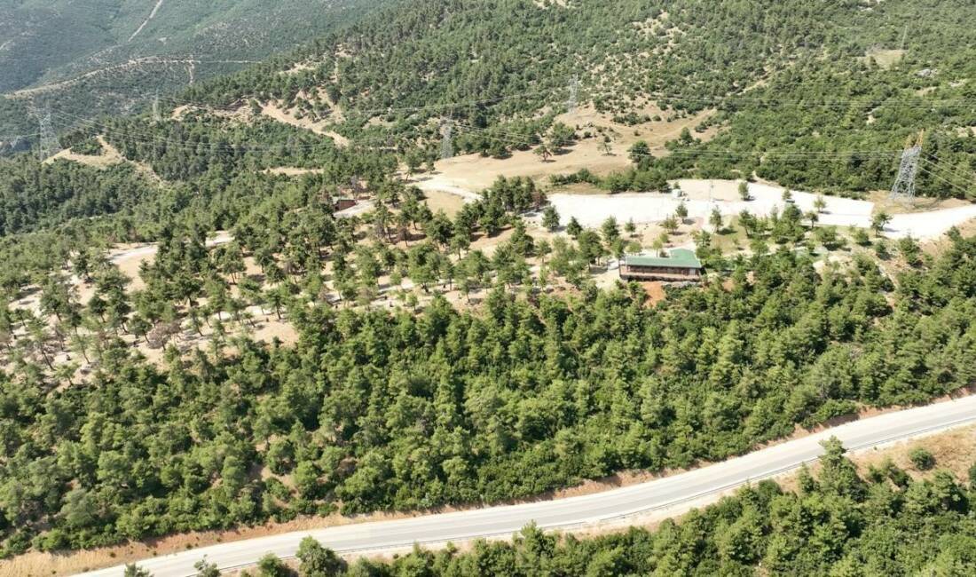 Bursa’daki büyük yangında kül olmuştu! Yeniden açılıyor Gürsu Kule Orman Parkı, geçen yıl yaşanan yangın sonrası yenilenerek