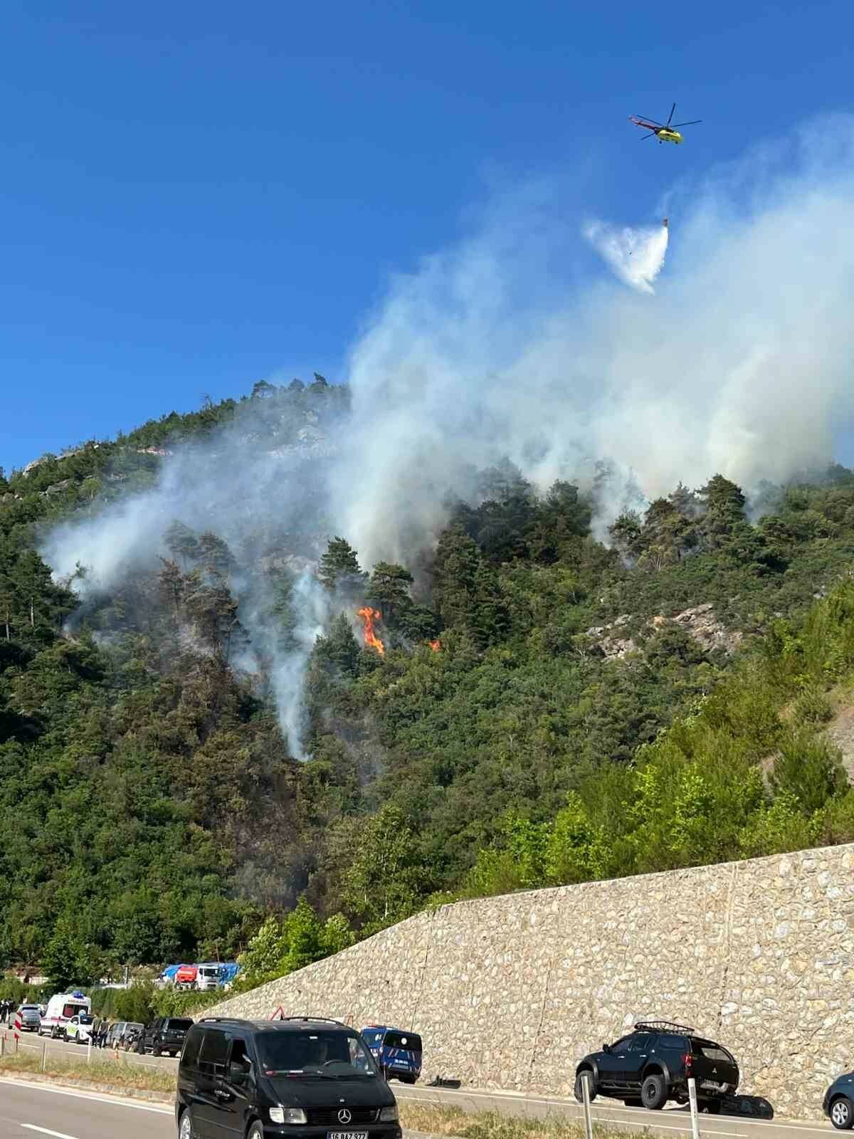 bursadaki orman yangininda gozalti var 5876735adf16