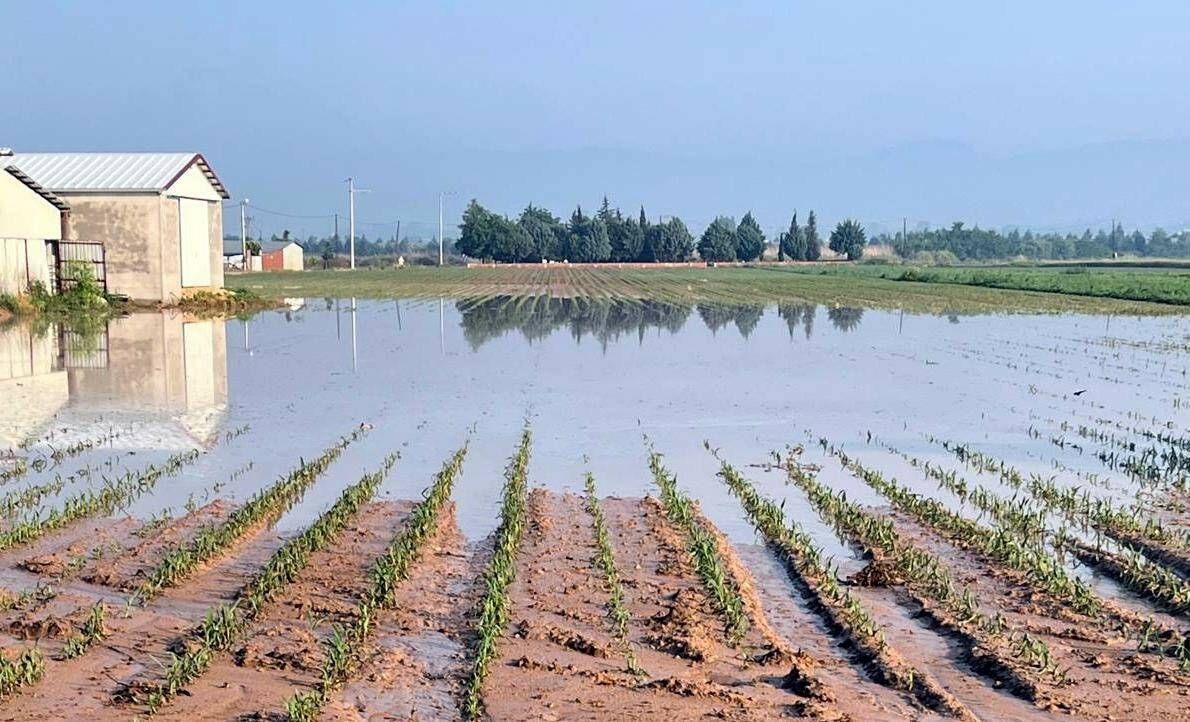Bursa'nın o ilçesini sel ve dolu vurdu! Hasar büyük... 6 bursanin o ilcesini sel ve dolu vurdu 971c8a0d0f90