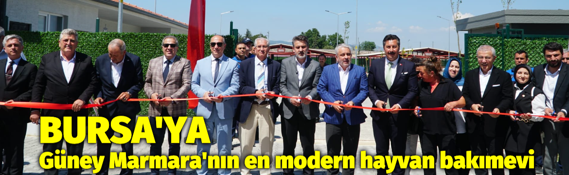 Olay Gazetesi – Ana Sayfa 2 Yenişehir Belediyesi, "Hayvan Dostu Yenişehir"