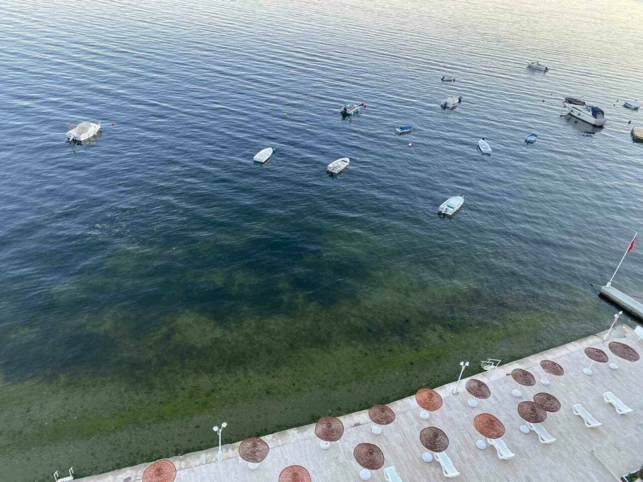 Bursa'ya kabusun ardından müjde! Sevindiren görüntüler geldi... 3 bursaya kabusun ardindan mujde sevindiren goruntuler geldi af73d23575fa
