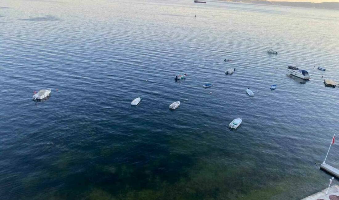 Bursa’ya kabusun ardından müjde! Sevindiren görüntüler geldi… Marmara Denizi’nde geçtiğimiz hafta müsilaj nedeniyle gündeme gelen Gemlik Körfezi’nde