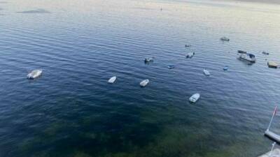 Marmara Denizi’nde geçtiğimiz hafta müsilaj nedeniyle gündeme gelen Gemlik Körfezi’nde