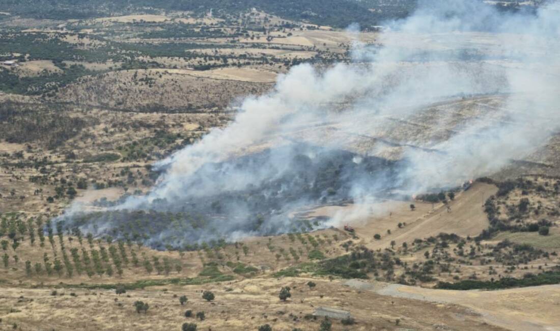 Çanakkale’de orman yangını Çanakkale'nin Ezine ilçesinde çıkan orman yangınına havadan ve karadan müdahale