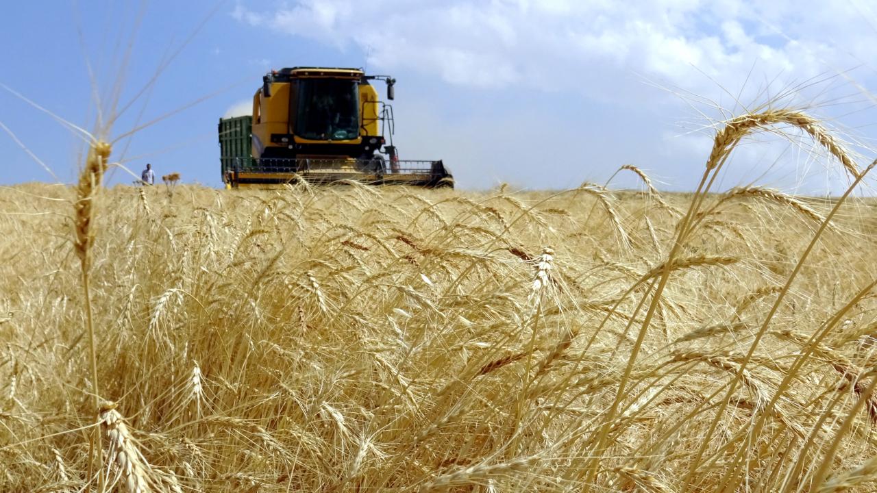 Çiftçiye güzel haber: Başvuru süresi uzatıldı 1 ciftciye guzel haber basvuru suresi uzatildi 73c29ddae6fc