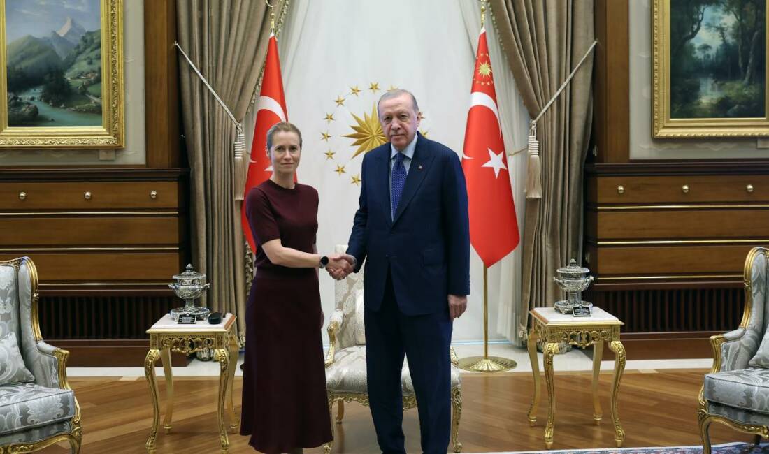 Cumhurbaşkanı Recep Tayyip Erdoğan, Cumhurbaşkanlığı Külliyesi'nde Avrupa Birliği (AB) Dış