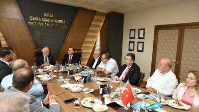 Nilüfer Belediye Başkanı Şadi Özdemir, Deri İhtisas ve Karma Organize