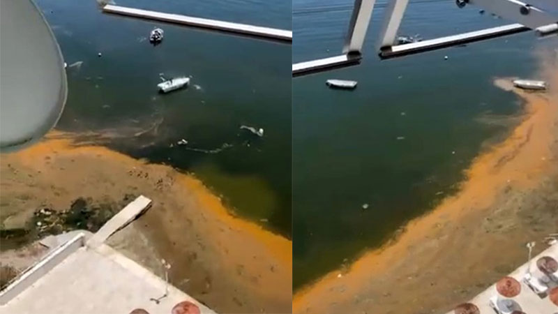 Bursa’da kabus geri döndü! Sahillerden kahreden görüntü… Marmara Denizi’nde son yıllarda dönem dönem etkisini gösteren müsilaj, Bursa’nın