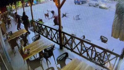 Afyonkarahisar’da kızıyla birlikte dinlenme tesisine gelen kadına saldıran köpek, kadının
