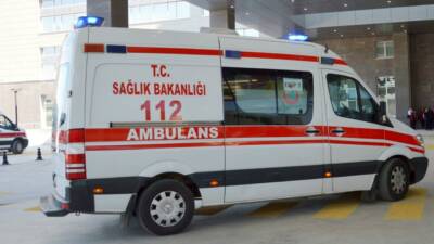 Giresun'un Tirebolu ilçesinde bir düğünde ikram edilen yemekten yiyen 13