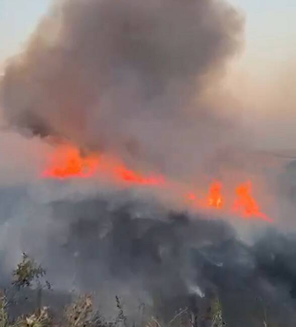 Gaziantep’in Oğuzeli ilçesine bağlı Kılavuz Mahallesi’nde buğday ekili tarlada yangın
