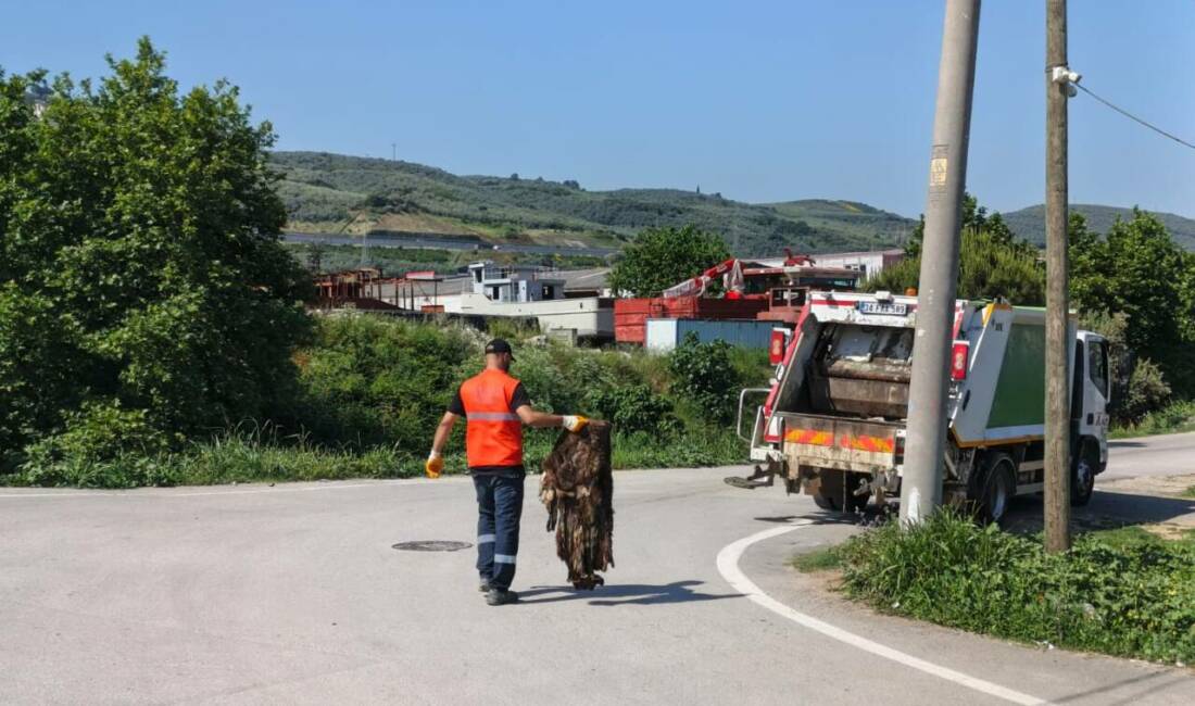 Gemlik Belediyesi Temizlik İşleri Müdürlüğü ekipleri, Kurban Bayramı’nın ardından ilçe