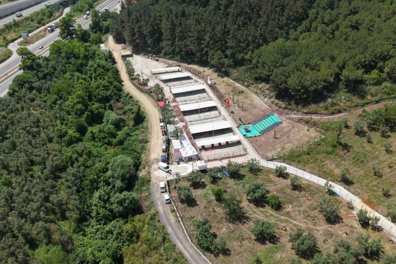 Bursa'da örnek tesis açıldı! 15 gemlikte sahipsiz hayvan bakimevi ve dogal yasam alani torenle acildi 11