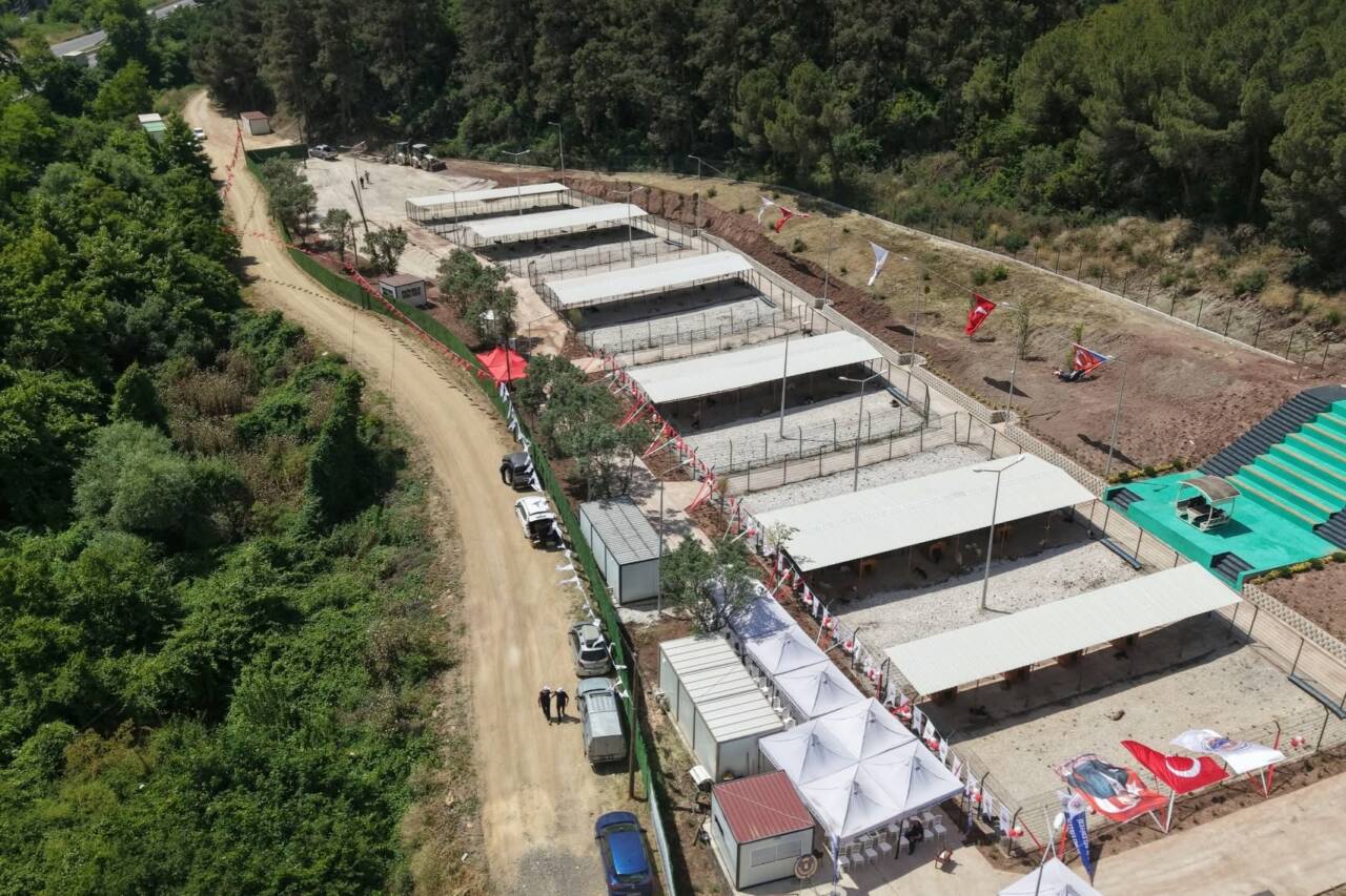 Bursa'da örnek tesis açıldı! 17 gemlikte sahipsiz hayvan bakimevi ve dogal yasam alani torenle acildi 13